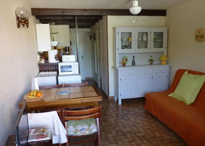 T2 Avec Piscine, Ascenseur Et Parking Prive, A 300m De La - 4 Couchages, Animaux Ok - Fr-1-388-89